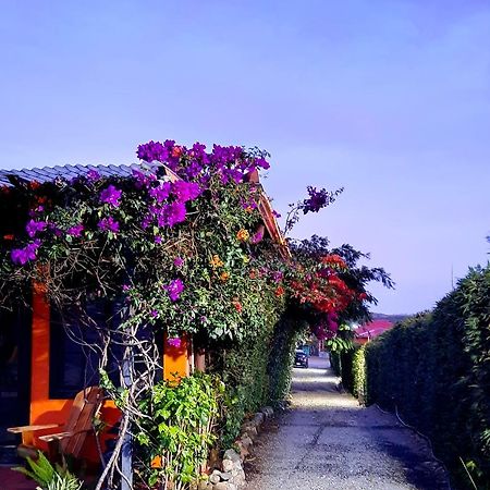Cabanas San Miguel Alto Boquete エクステリア 写真