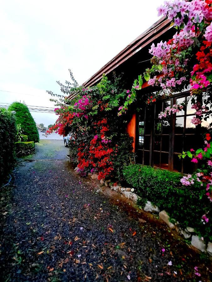 Cabanas San Miguel Alto Boquete エクステリア 写真