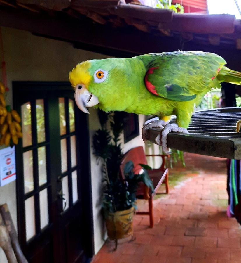 Cabanas San Miguel Alto Boquete エクステリア 写真