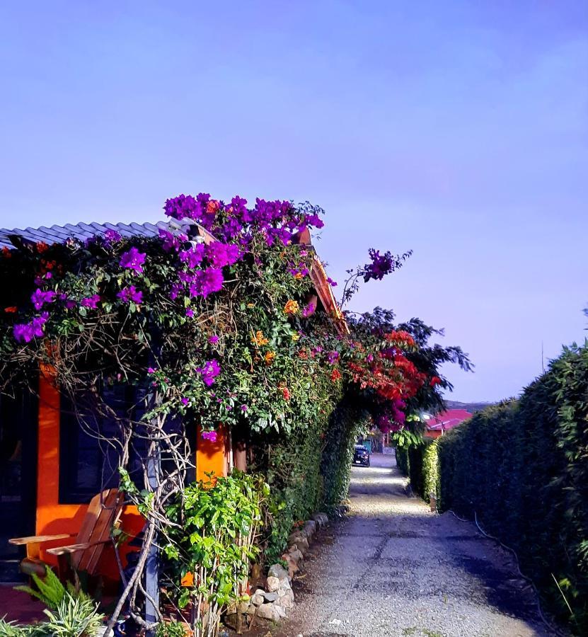 Cabanas San Miguel Alto Boquete エクステリア 写真